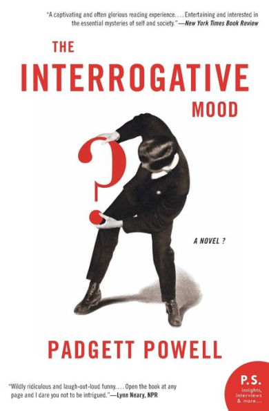 The Interrogative Mood – A Novel?